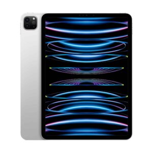 iPad Pro 11" (2020/2022)